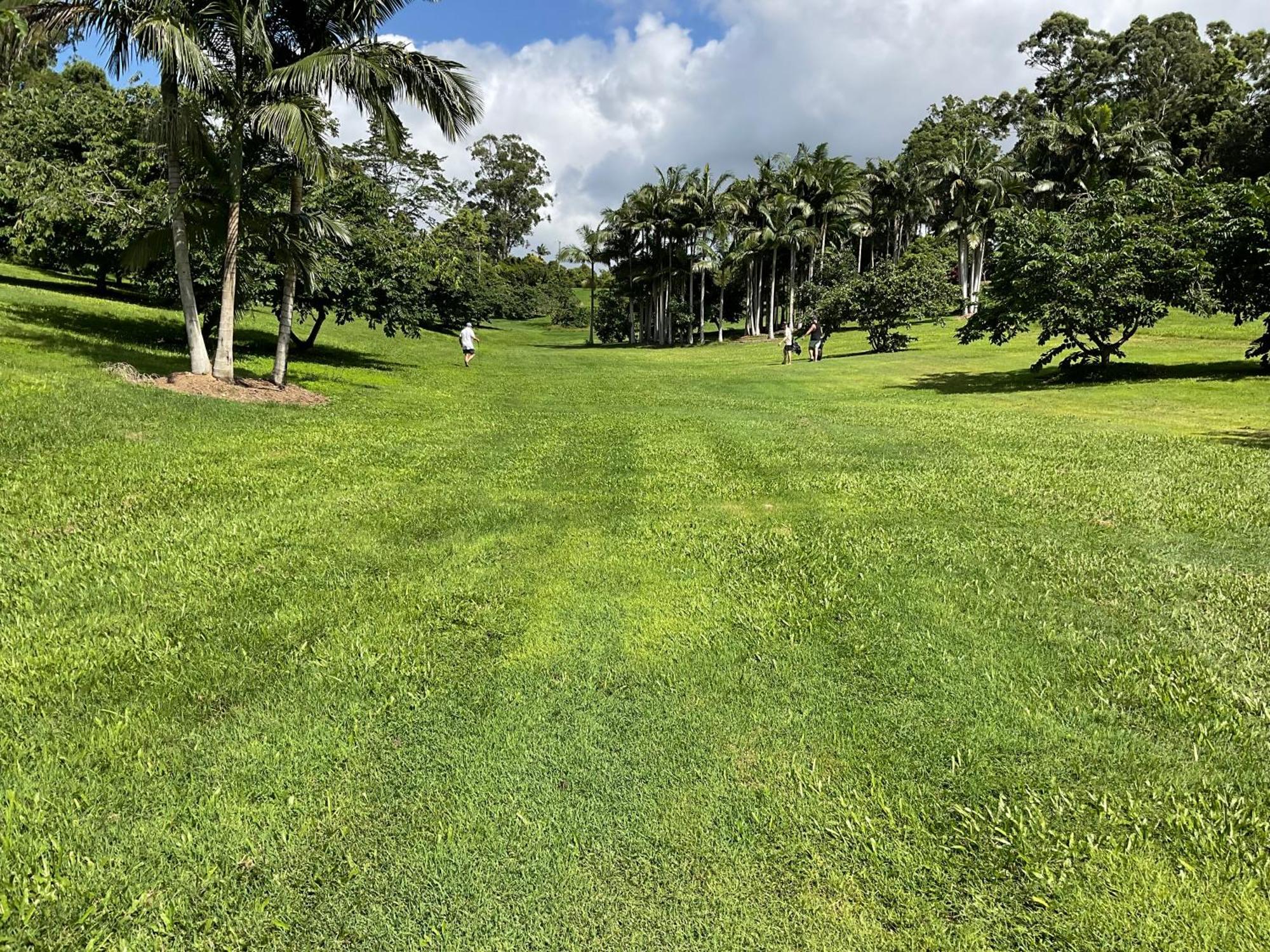 Sunshine Coast Retreat Your Own Private Golf Course Diddillibah Exterior foto